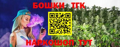 индика Ярославль