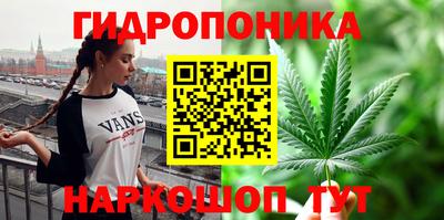 индика Ярославль