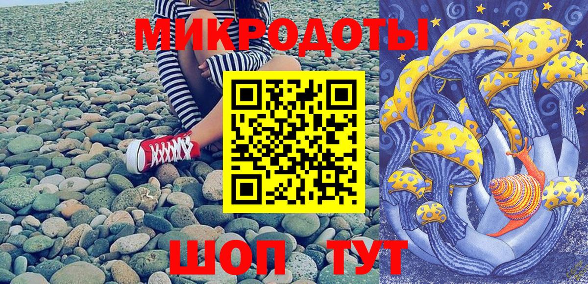 Ачхой-Мартан  Галлюциногенные грибы Cubensis  Вход с VPN 
